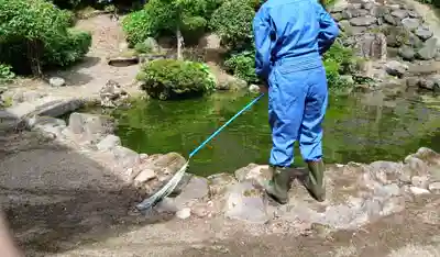 白狐山光星寺(山形県)