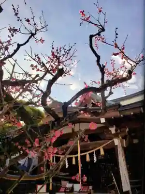 鳩森八幡神社(東京都)