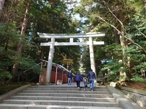 彌彦神社の鳥居