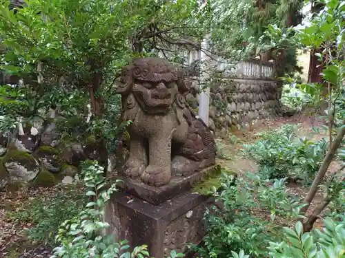 斐太神社の狛犬