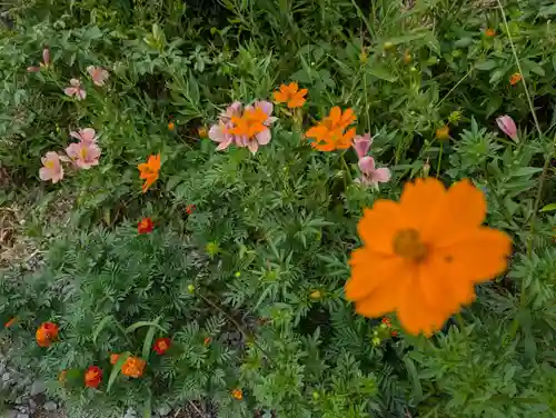 豊景神社(福島県)