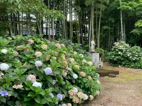 福泉寺の庭園