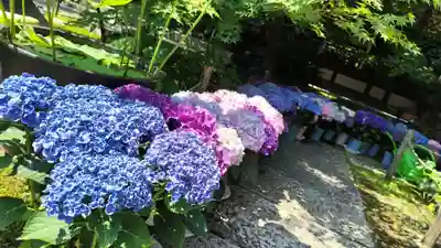 勝林寺(京都府)