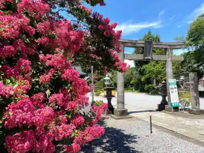 長良神社(群馬県)