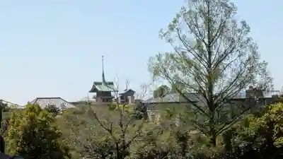 知恩院(京都府)