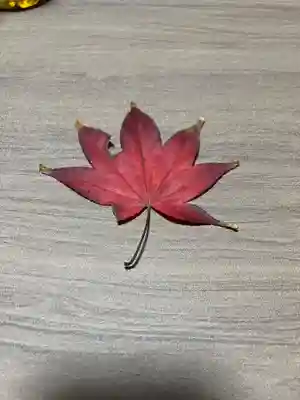 大宮温泉神社(栃木県)