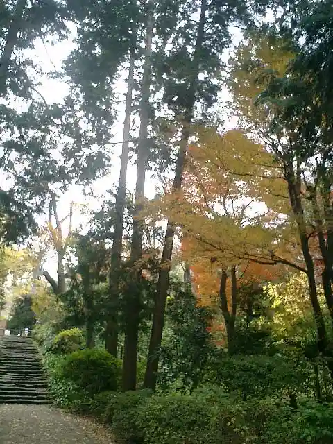 浄智寺の庭園