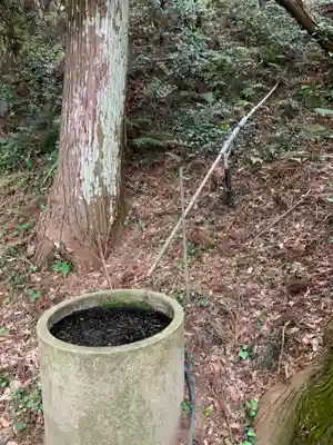 天神社(千葉県)