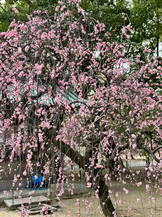 屯倉神社(大阪府)