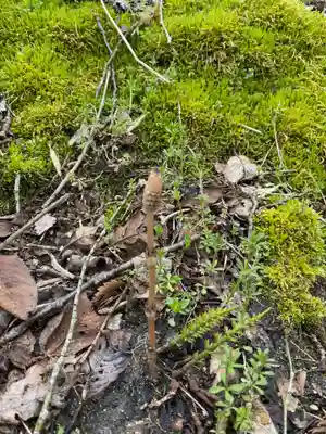 蓮蔵寺(福島県)