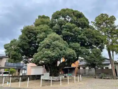 川俣神社の自然