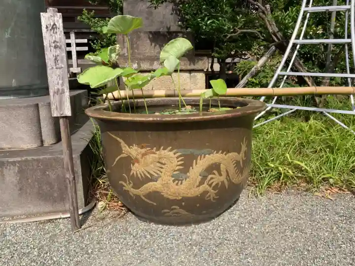 妙蓮寺のその他建物