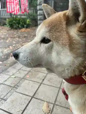 笠䅣稲荷神社の{uncategorized: "未分類", other: "その他", undefined: "問題あり", building: "その他建物", grave: "お墓", sacred_gate: "鳥居", guardian: "狛犬", statue: "像", buddha: "仏像", history: "歴史", nature: "自然", garden: "庭園", animal: "動物", pagoda: "塔", temizu: "手水舎", mountain_gate: "山門・神門", sanctuary: "本殿・本堂", subordinate: "末社・摂社", art: "芸術", scenery: "景色", jizo: "地蔵", ema: "絵馬", goshuin: "御朱印", omikuji: "おみくじ", items: "授与品その他", amulet: "お守り", goshuincho: "御朱印帳", eats: "食事", festival: "お祭り", votive_dance: "神楽", shichigosan: "七五三参", wedding: "結婚式", experience: "体験その他", initially: "初詣", around: "周辺", anti_infection: "感染症対策"}
