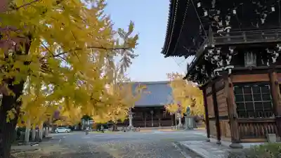 頂妙寺(京都府)