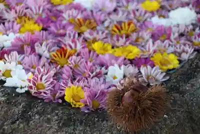 大鏑神社の手水舎