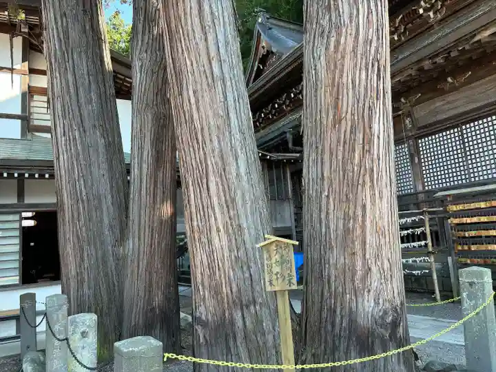 北向観音(長野県)