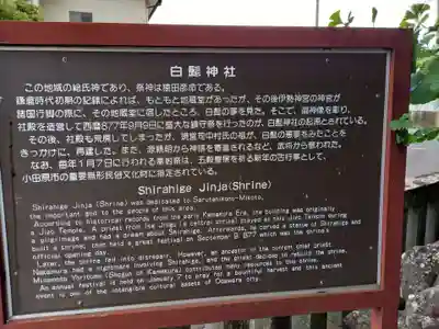 白髭神社(神奈川県)