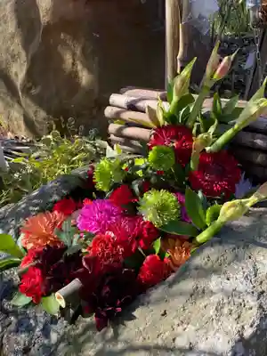 岡部春日神社～👹鬼門よけの🌺花咲く🌺やしろ～の手水舎