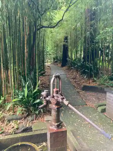浄智寺(神奈川県)