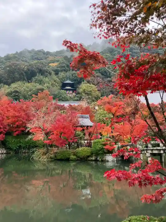 禅林寺(永観堂)(京都府)