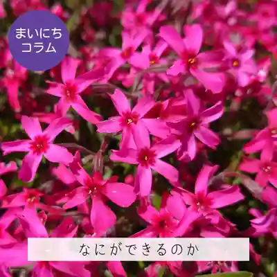 壽徳寺 じゅとくじ(福島県)