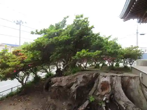 鮫八幡宮(青森県)