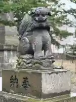 新琴似神社の狛犬