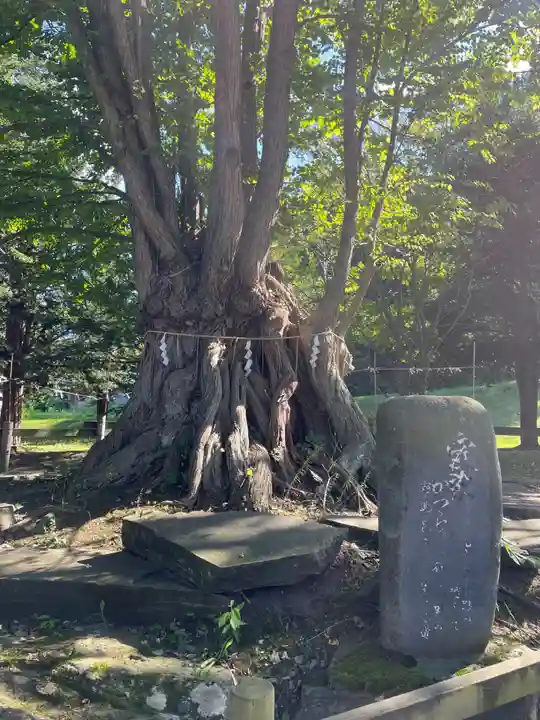 美幌神社(北海道)