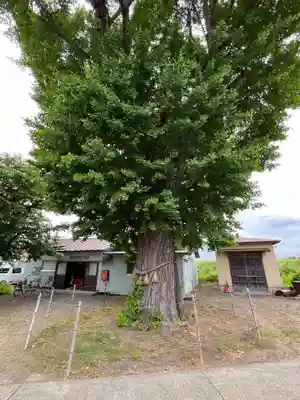八幡神社(宮城県)
