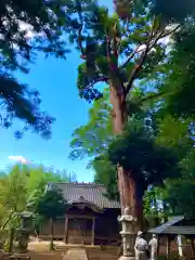 吉原鹿島神社(茨城県)