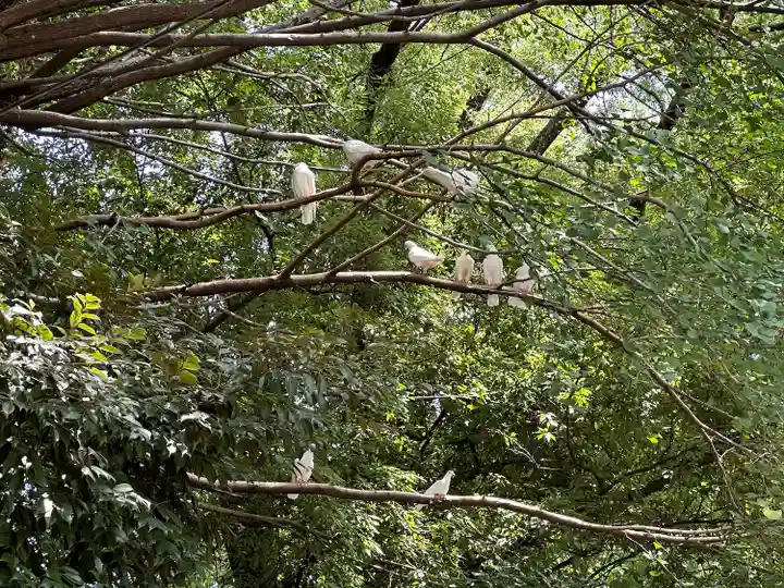 靖國神社(東京都)