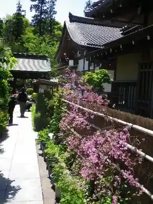 松嶺院のその他建物