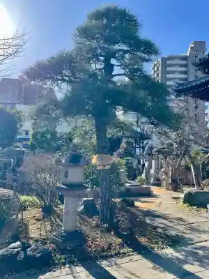 栄松院の{uncategorized: "未分類", other: "その他", undefined: "問題あり", building: "その他建物", grave: "お墓", sacred_gate: "鳥居", guardian: "狛犬", statue: "像", buddha: "仏像", history: "歴史", nature: "自然", garden: "庭園", animal: "動物", pagoda: "塔", temizu: "手水舎", mountain_gate: "山門・神門", sanctuary: "本殿・本堂", subordinate: "末社・摂社", art: "芸術", scenery: "景色", jizo: "地蔵", ema: "絵馬", goshuin: "御朱印", omikuji: "おみくじ", items: "授与品その他", amulet: "お守り", goshuincho: "御朱印帳", eats: "食事", festival: "お祭り", votive_dance: "神楽", shichigosan: "七五三参", wedding: "結婚式", experience: "体験その他", initially: "初詣", around: "周辺", anti_infection: "感染症対策"}