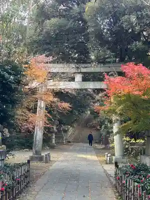 四合稲荷神社(東京都)