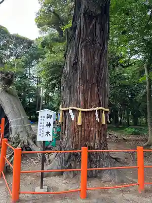 息栖神社(茨城県)