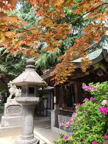 青山熊野神社の本殿