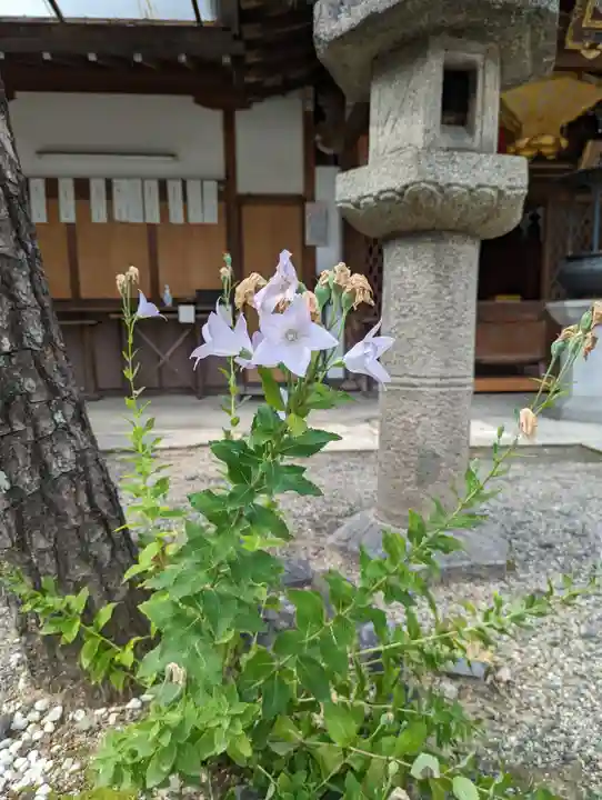 常施無畏寺 護浄院(清荒神)(京都府)
