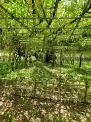 玉敷神社の庭園