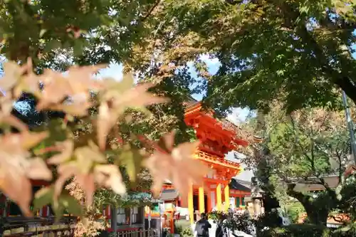 賀茂別雷神社（上賀茂神社）の自然