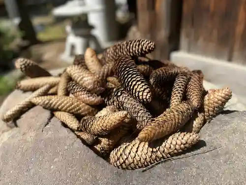 琴似神社(北海道)