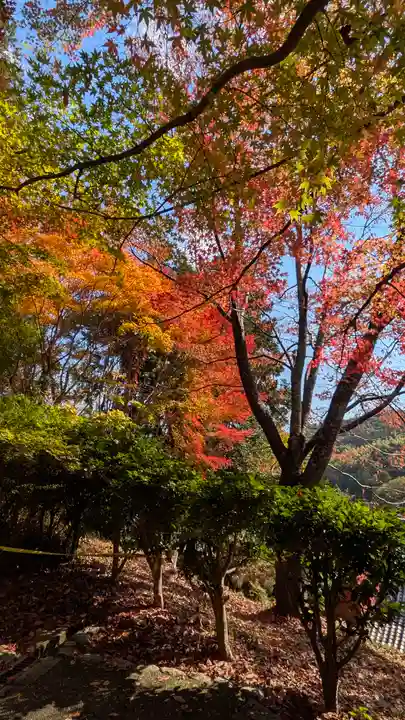 十輪寺(京都府)