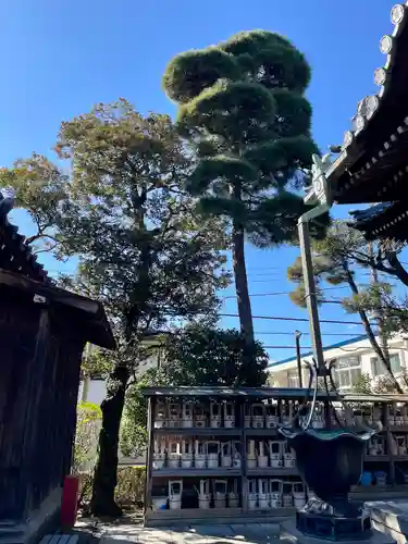 金藏院(東京都)