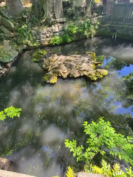 成田山新勝寺の庭園