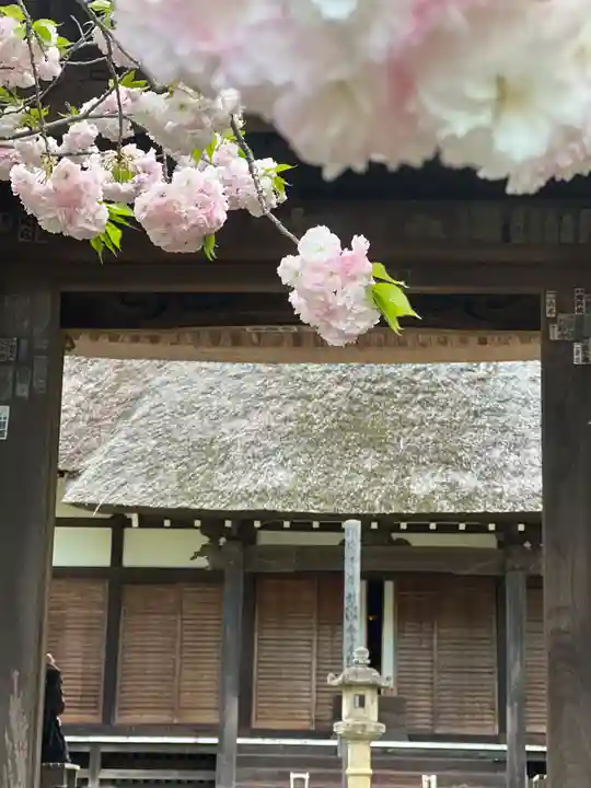 横浜 西方寺(神奈川県)