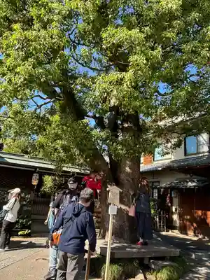 晴明神社(京都府)