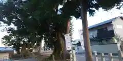 兒神社の建物その他