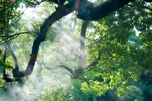 秩父神社の庭園