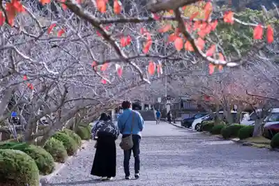 安房神社(千葉県)