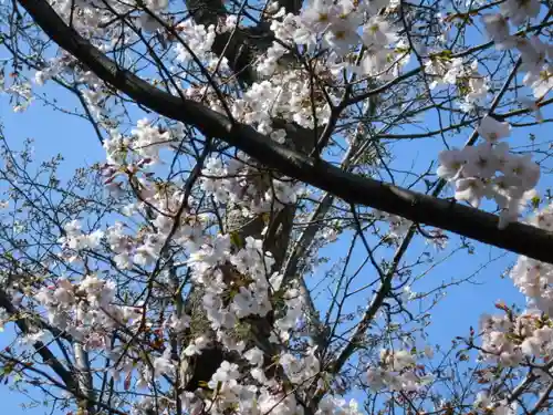 極楽寺（霊鷲山感應院極楽律寺）の自然