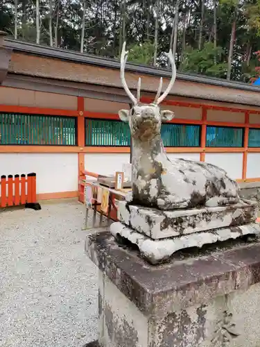 大原野神社の狛犬